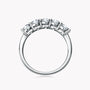 Pauline Five Stone Band view 4