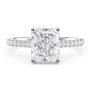 Clarisse Radiant Hidden Halo Ring view 4