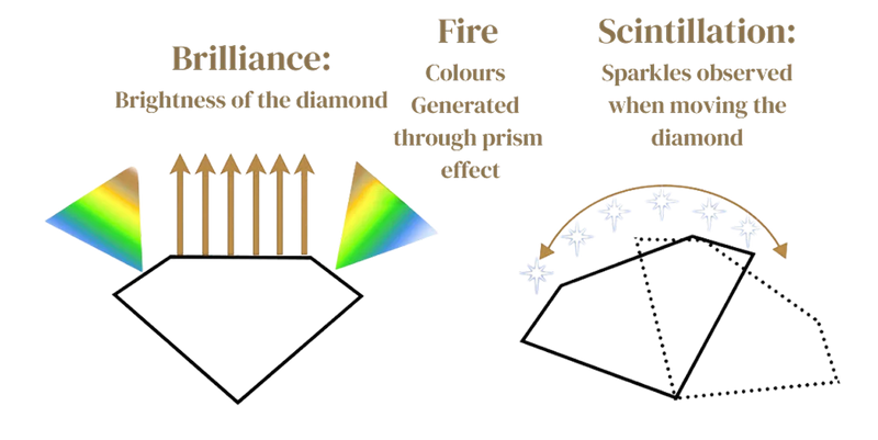 Cut Diagram