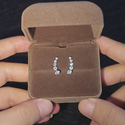 Zélie 5 Stone Bezel Set Moissanite Stud Earrings